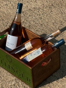 🍁 An Autumn Rosé – Seasonal Companions