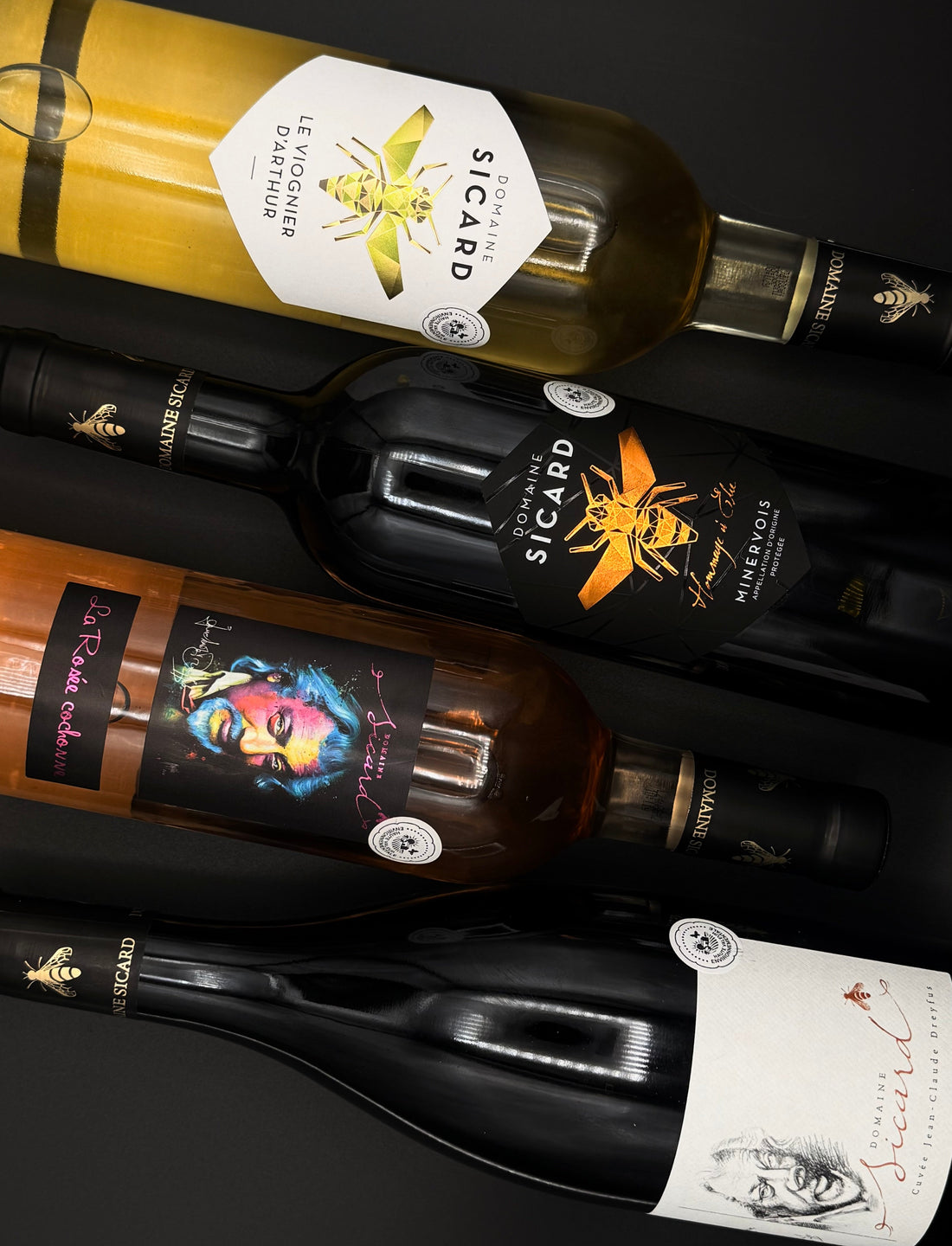 Say hello to Domaine Sicard