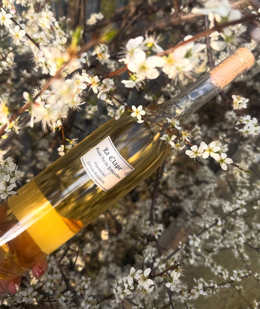 Spring White Wines from the Languedoc Region