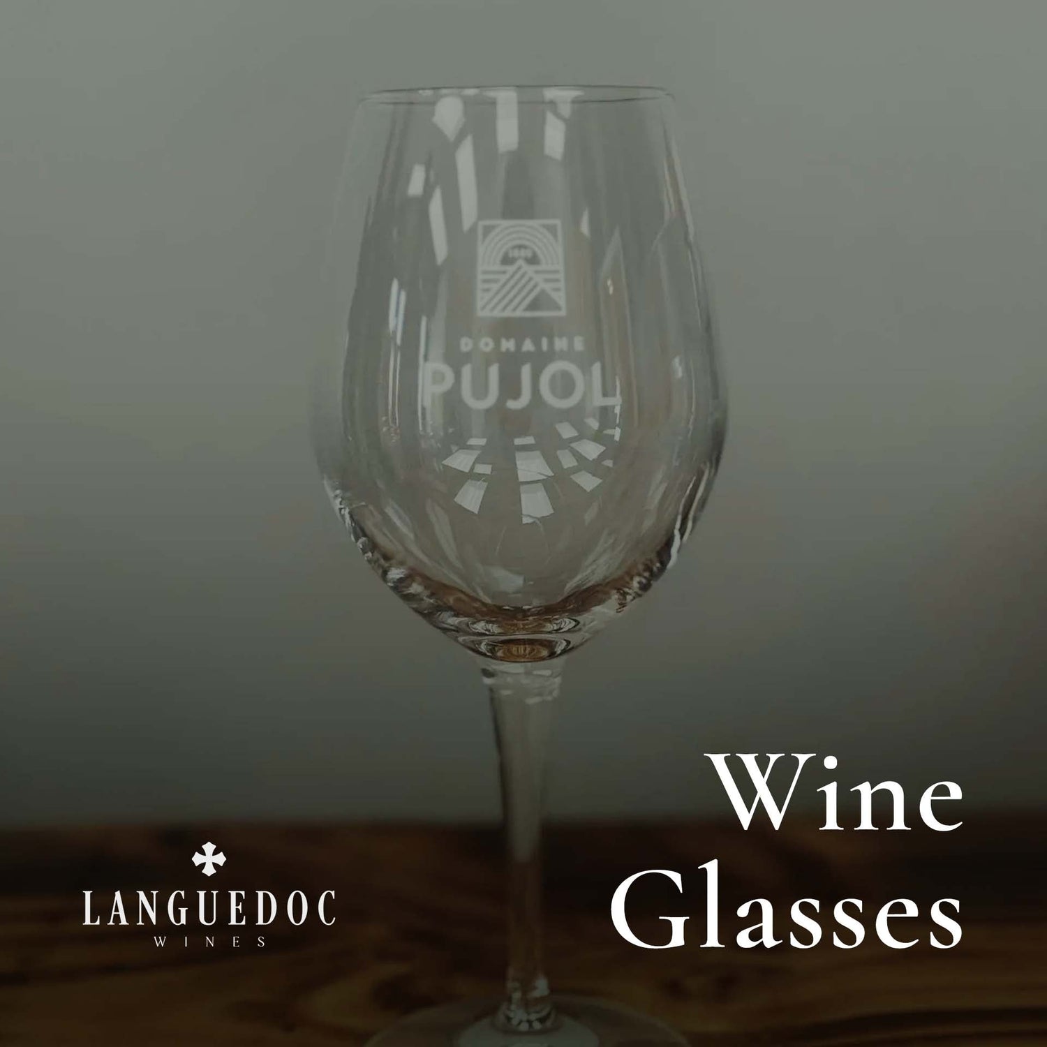 Wine Glasses