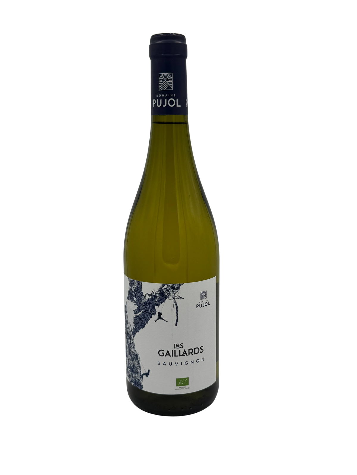 Domaine Pujol Les Gaillards Sauvignon 2025